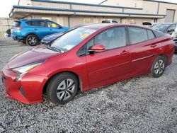 Vehiculos salvage en venta de Copart Earlington, KY: 2016 Toyota Prius