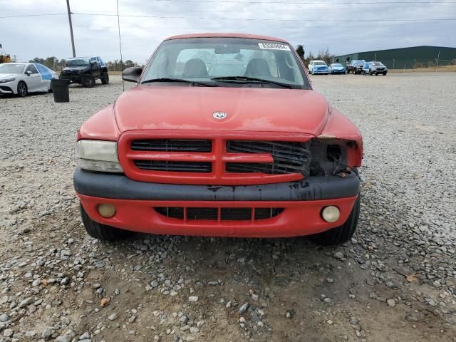 2000 Dodge Dakota