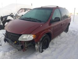 Dodge salvage cars for sale: 2007 Dodge Grand Caravan SXT