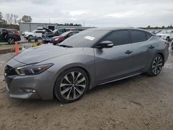 Salvage cars for sale at Harleyville, SC auction: 2016 Nissan Maxima 3.5S