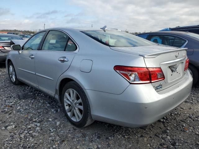 2010 Lexus ES 350