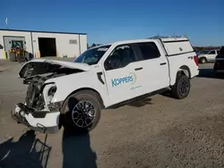 Salvage cars for sale at Lumberton, NC auction: 2023 Ford F150 Supercrew