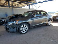 Honda salvage cars for sale: 2010 Honda Accord EXL