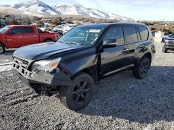 Vehiculos salvage en venta de Copart Reno, NV: 2010 Lexus GX 460