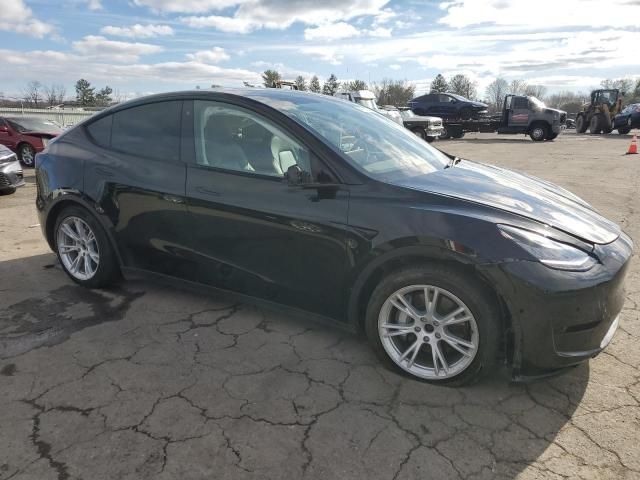 2020 Tesla Model Y