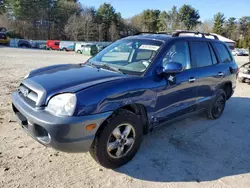 Lotes con ofertas a la venta en subasta: 2006 Hyundai Santa FE GLS