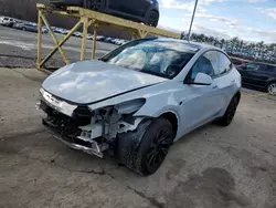 Salvage cars for sale at Windsor, NJ auction: 2023 Tesla Model Y