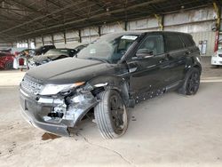 Salvage cars for sale at Phoenix, AZ auction: 2013 Land Rover Range Rover Evoque Pure Plus