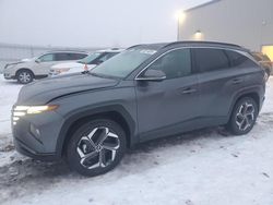 Salvage cars for sale at Appleton, WI auction: 2023 Hyundai Tucson Limited