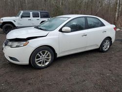 Salvage cars for sale at Cookstown, ON auction: 2012 KIA Forte EX