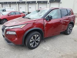 2023 Nissan Rogue SV en venta en Louisville, KY