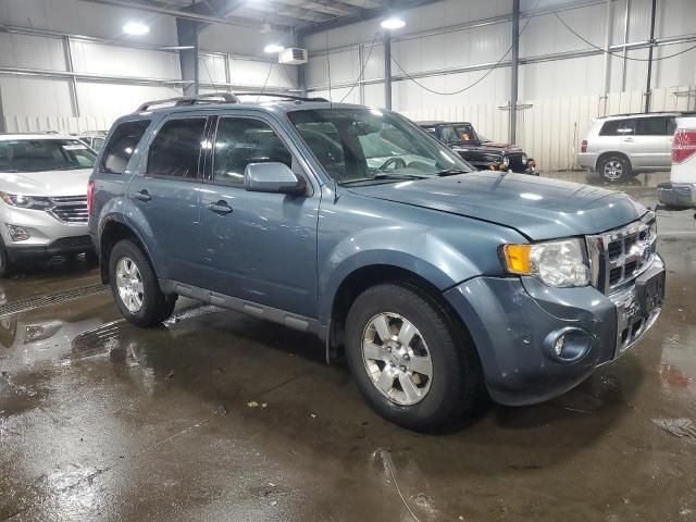 2011 Ford Escape Limited