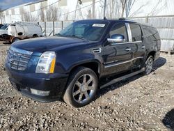 Cadillac Vehiculos salvage en venta: 2008 Cadillac Escalade ESV