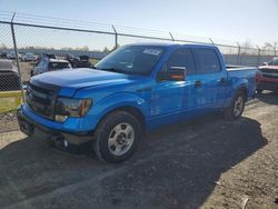 Carros salvage a la venta en subasta: 2013 Ford F150 Supercrew