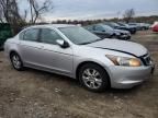 2010 Honda Accord LXP