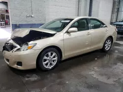 2011 Toyota Camry Base en venta en Ham Lake, MN