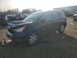 Salvage cars for sale at New Britain, CT auction: 2009 Honda CR-V EXL