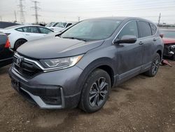 Salvage cars for sale at Elgin, IL auction: 2020 Honda CR-V EXL