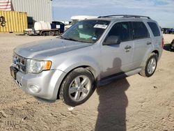 Carros salvage a la venta en subasta: 2012 Ford Escape XLT