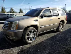 Cadillac Vehiculos salvage en venta: 2007 Cadillac Escalade Luxury