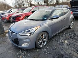 Salvage cars for sale at Marlboro, NY auction: 2016 Hyundai Veloster