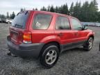 2006 Ford Escape XLT