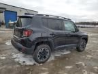 2015 Jeep Renegade Trailhawk