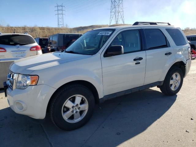 2011 Ford Escape XLT