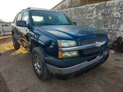 Salvage trucks for sale at Anthony, TX auction: 2005 Chevrolet Avalanche C1500