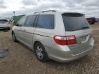 2006 Honda Odyssey EX