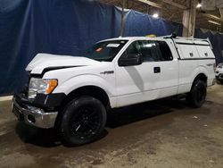 Salvage cars for sale at Woodhaven, MI auction: 2013 Ford F150 Super Cab