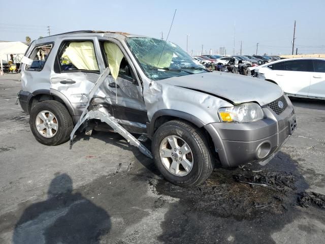 2006 Ford Escape XLT