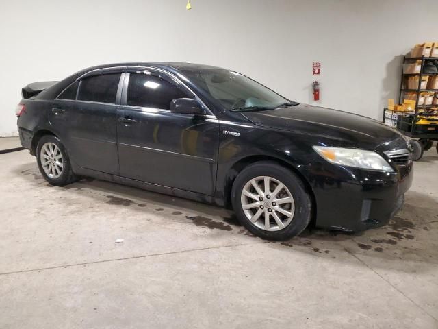 2010 Toyota Camry Hybrid