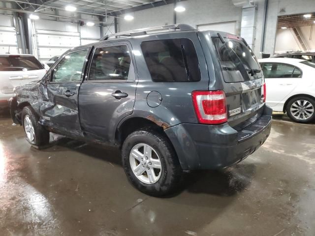 2008 Ford Escape HEV