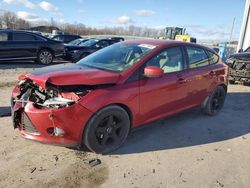 Ford Focus salvage cars for sale: 2012 Ford Focus SE