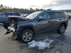 Salvage cars for sale at Windham, ME auction: 2023 Toyota Rav4 XLE