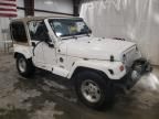 2002 Jeep Wrangler / TJ Sahara