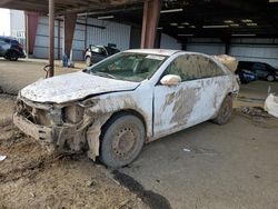 Salvage cars for sale from Copart American Canyon, CA: 2008 Toyota Camry LE