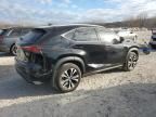 2020 Lexus NX 300 F Sport