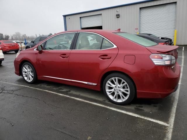 2010 Lexus HS 250H