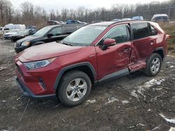 Salvage cars for sale at Baltimore, MD auction: 2020 Toyota Rav4 XLE