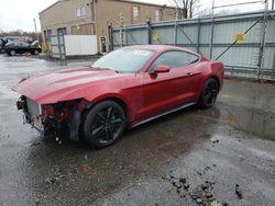 Salvage cars for sale at Glassboro, NJ auction: 2016 Ford Mustang