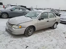 Vehiculos salvage en venta de Copart Indianapolis, IN: 1999 Toyota Corolla VE