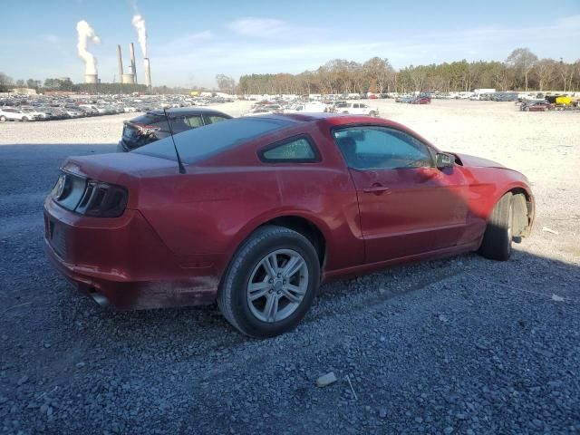 2013 Ford Mustang