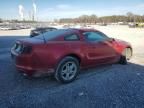 2013 Ford Mustang