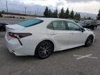 2023 Toyota Camry SE Night Shade