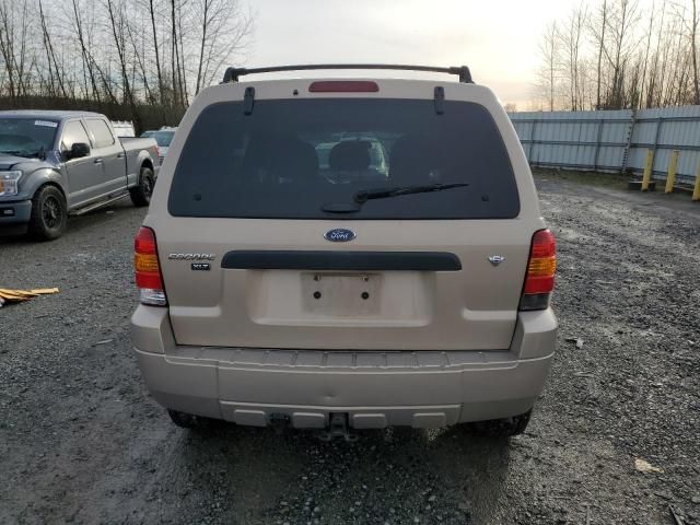 2007 Ford Escape XLT