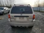 2007 Ford Escape XLT