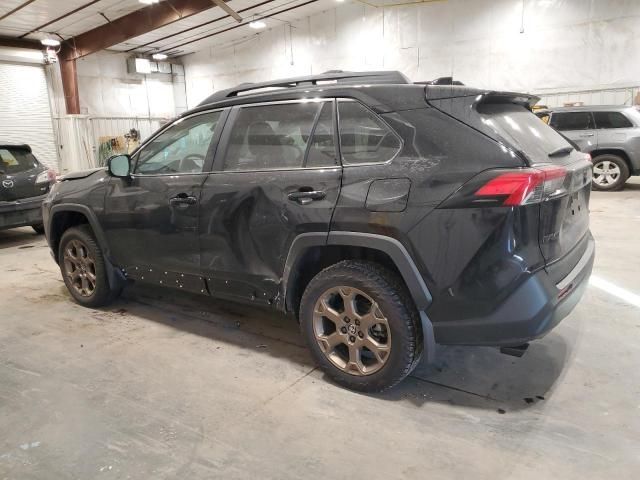 2024 Toyota Rav4 Woodland Edition