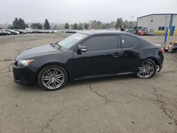 Salvage cars for sale at Vallejo, CA auction: 2011 Scion TC